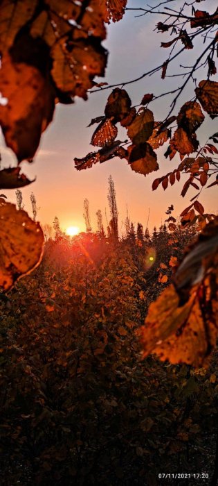 “Payız rəngləri” mövzusunda keçirilən fotomüsabiqənin iştirakçısı  Hüseynli Zeynəbin  çəkdiyi fotonu sizlərə təqdim edirik.