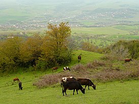 Pirlər kəndi istiqamətində yaşayan ermənilər üçün bu həftə Koroğlu Uvertürası səsləndirilib.