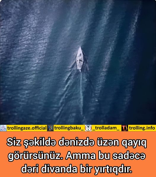 Maraqlı bir foto.