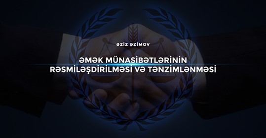 Əmək münasibətlərinin rəsmiləşdirilməsi və tənzimlənməsi üzrə gündəlik araşdırma materialları.