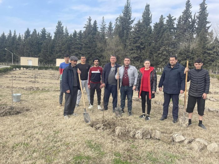 “Yaşıl dünya naminə həmrəylik ili” çərçivəsində 02 mart 2024-cü il tarixində Kürdəmir rayonunda agacəkmə aksiyayası keçirildi.