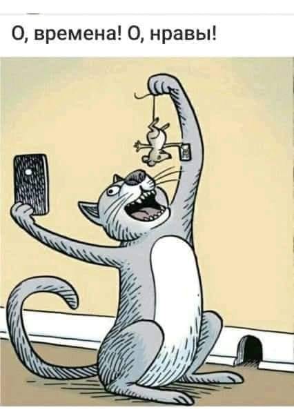Yeyən və yeyilən...... Yeyən və yeyilən......