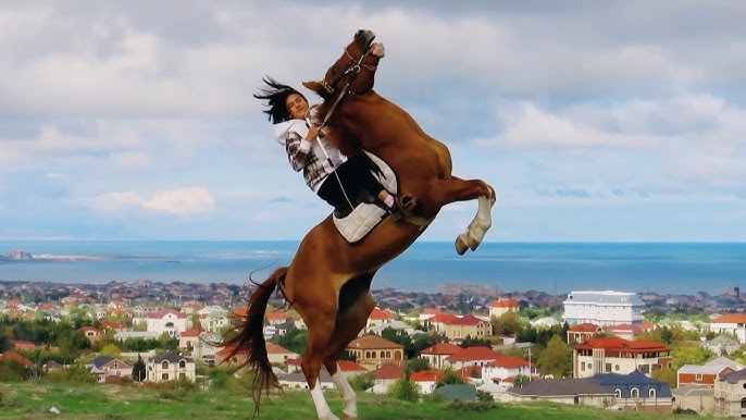 Atın belindəki Türk deyilsə, deməli yükdür. Atın belindəki Türk deyilsə, deməli yükdür.